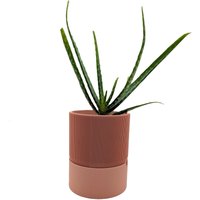 Moderner 3D Gedruckter Selbstbewässernder Übertopf Gerippter Innentopf von MoroaDecor