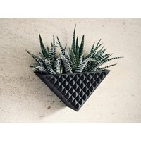"Boho Wandtopf "Prismatic Black" Mit Schwarzem Holz-Finish." von MorseStudioCo