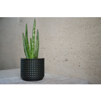 Moderner Übertopf Aus Holz ""Perforated Black"" von MorseStudioCo