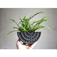 Abgerundeter Mid Century Blumenkasten/Blumentopf Übertopf Aus Holz in Schwarz von MorseStudioCo