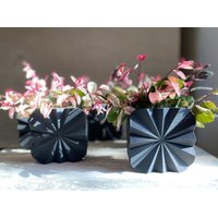 "Mid Century Modern "Black Square Fan" Wandpflanztopf Mit Schwarzer Holzoptik." von MorseStudioCo
