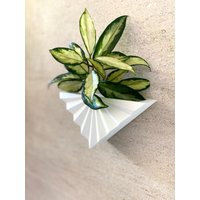 Mid Century Moderner Kreis Blumentopf Weißer Glanz von MorseStudioCo