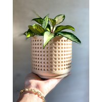 " Moderner Blumentopf "Loch Natur" von MorseStudioCo