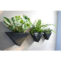 Modernes Dreieck Schwarzes 3Er Set Wandpflanztopf Mit Schwarzer Holzoptik von MorseStudioCo