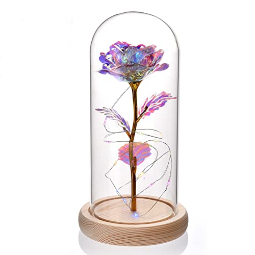Morwealth Geschenke für Frauen Rose im Glas,Die Schöne und das Biest Rose in Glaskuppel mit LED-Lichter,Forever Rose Blumen Geschenk für Mama Frauen von Morwealth