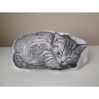 Benutzerdefinierte Haustier-Urne Einzigartige Weiche Skulptur in Erinnerung An Haustier Handbemalte Abdeckung Für Einäscherungs-Graburne von MosMea