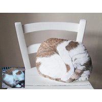 Cuscino Decorativo A Forma Del Vostro Gatto Cuscino Decorativo A Forma Del Vostro Gatto von MosMea