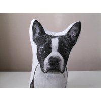 Hundekissen Boston Pit Bull Terrier Plüsch Handgemalte Wohnkultur Gefüllt Weicher Baumwolle Werfen Akzent Hundekissen Boston Pit Bull Terrier Plüsch Handgemalte Wohnkultur Gefüllt Weicher Baumwolle Werfen Akzent von MosMea