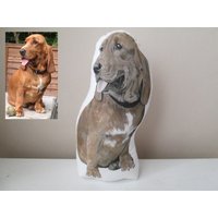 Personalisiertes Hundekissen Großes Hundefarbenes Portrait Hunde Wurfkissen Gefülltes Dekokissen Handbemalt von MosMea