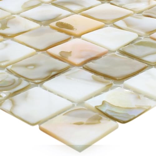 Muschelmosaik Perlmutt Mosaik Fliesen Kordon Hellbeige Bad Dusche Fliesenspiegel von Mosafil