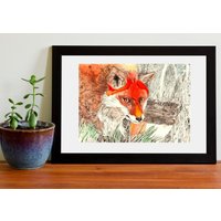 Aquarell Kunstdruck Fuchs Giclée Druck Vixen Wald Tier Kunst Wilde Zeichnung Illustration Jagd Sümpfe Raubtier von MoselArtandCarvings