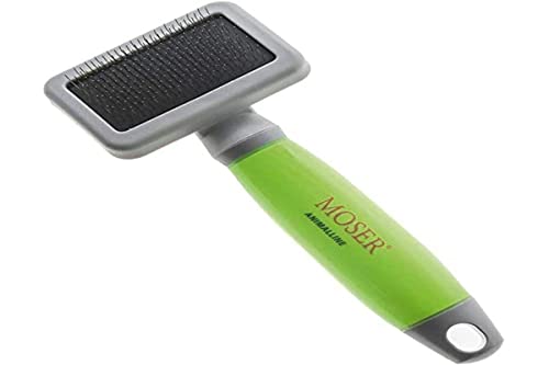Moser 2999-7055 Kleine Zupfbürste, grün Moser 2999-7055 Kleine Zupfbürste, grün von Moser