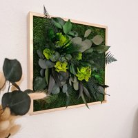 Pflanzenbild - Dschungelbild Dschungel Wandbild Wandbilder Grün Vertikaler Garten Wohnzimmer Wandbild Mit Echten Pflanzen Pflanzenbild - Dschungelbild Dschungel Wandbild Wandbilder Grün Vertikaler Garten Wohnzimmer Wandbild Mit Echten Pflanzen von Moserthegreenwallart