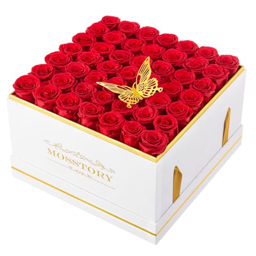 Mosstory Forever Flowers 49 Stück konservierte Rosen in einer Box Blumen für Lieferung Prime Langlebige Blumen Geschenk für Frau Valentinstag Muttertag Jahrestag (Rote Rosen, weiße Samtbox) von Mosstory