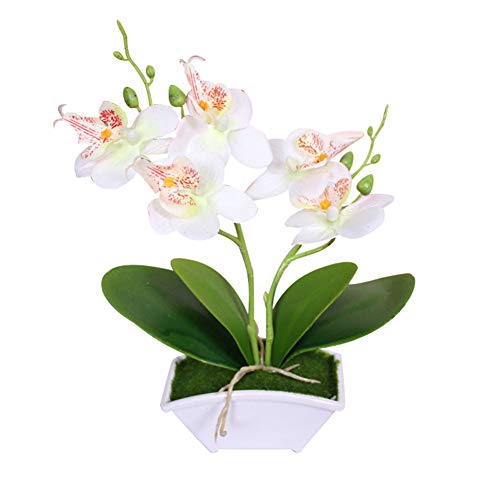 Mothcattl Künstliche Bonsai, künstliche Schmetterlings-Orchidee, Bonsai, künstliche Blume mit Topf, Heimtischdekoration von Mothcattl