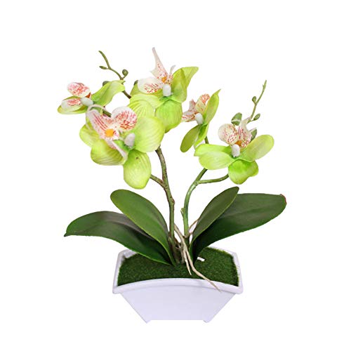 Mothcattl Künstliche Bonsai, künstliche Schmetterlings-Orchidee, Bonsai, künstliche Blume mit Topf, Heimtischdekoration von Mothcattl
