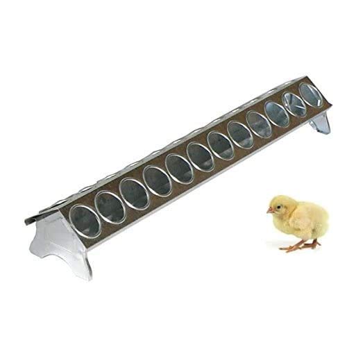 Motisi Zootecnici Futterstation aus Blech mit Löchern zum Schutz vor Verschütten für Küken, 50 cm von Motisi Zootecnici