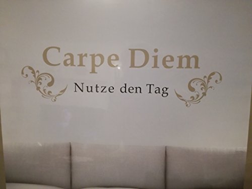 MotoVin Wandtattoo "Carpe Diem, Nutze den Tag" 150 x 40 von MotoVin