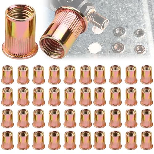 100 Stück Nietmuttern M6 Verzinkt Kohlenstoffstahl, Flachkopf Nietmuttern M6, Verzinkt Nietmuttern Blindnietmuttern, Verwendet für Metallplatten, Rohre usw. von Mount Kumgang