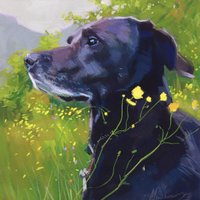 Tierportrait Nach Wunsch Lebhaftes Hunde - Oder Katzenportrait von MovchunArtStudio