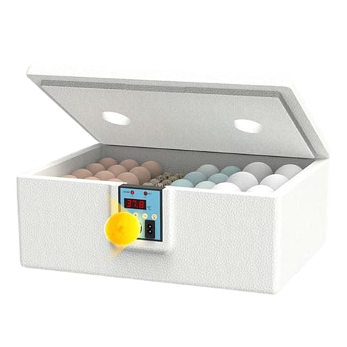 Moxeupon Eier Inkubator - Praktischer Wachtel Inkubator Für 32 Eier,Präzises Gerät Mit Feuchtigkeitskontrolle Für Zuhause, Garten, Bauernhof Und Brutbetrieb Moxeupon Eier Inkubator - Praktischer Wachtel Inkubator Für 32 Eier,Präzises Gerät Mit Feuchtigkeitskontrolle Für Zuhause, Garten, Bauernhof Und Brutbetrieb von Moxeupon