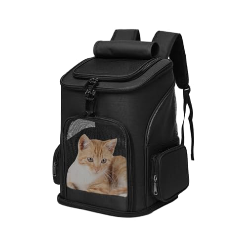 Moxeupon Große Katzentransportbox | Zusammenklappbar Tragbar Ausziehbar | Haustierzubehör Für Reisen Auto Tierarzt Flugzeug Outdoor Aktivitäten von Moxeupon