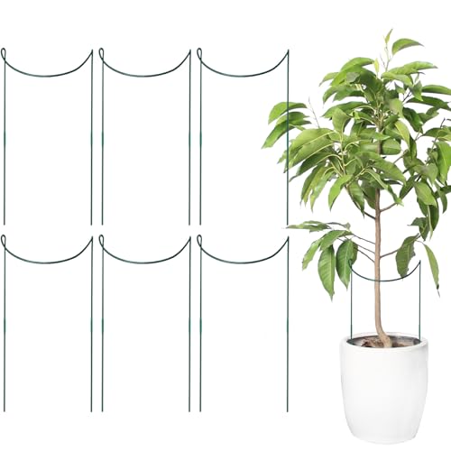 Moxeupon Pflanzenstützen | 6 Stück Metall Gartenstäbe Pflanzenhalter Für Rankgitter - Rostbeständige Kletterpflanzenhalter Aus Metall Gartenzubehör Moxeupon Pflanzenstützen | 6 Stück Metall Gartenstäbe Pflanzenhalter Für Rankgitter - Rostbeständige Kletterpflanzenhalter Aus Metall Gartenzubehör von Moxeupon