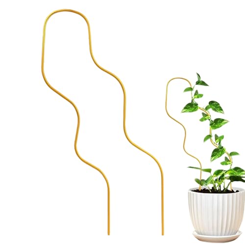 Pflanzen Spalier - Rankhilfe Für Kletterpflanzen | 46 cm Kletterhilfe Für Zimmerpflanzen Gemüse Pflanzentopf Hydrokultur Gewächshaus Balkon Terrasse Garten Gestaltung von Moxeupon