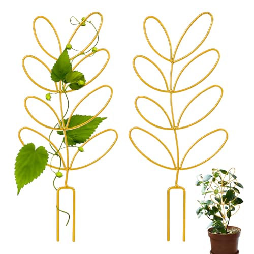 2 Stück Topfpflanzen Pflanzenspalier Garten Pflanzenstütze Kleines Metallspalier Rankgitter Kletterhilfe Mini Topfpflanzen Rankgitter, Für Kletterpflanzen Zimmerpflanzen(Gold) von Mozeat Lens