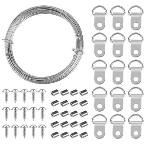 10 m Drahtseil Bilder Aufhängedraht Set Edelstahl Spanndraht 1mm Bilderaufhängung Stahlseil mit D-Ring und Schraube Bilderschnur für Spiegelbild Aufhänge von Mozeat Lens
