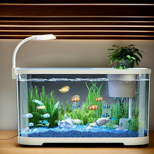 Aquarium Starter-Set | Betta Fischbecken Für Einsteiger | Fischschale Für Kampffische | Dekoratives Schreibtischbecken Für Kampffisch, Schildkröte, & Wasserbewohner 30x20x19cm Aquarium Starter-Set | Betta Fischbecken Für Einsteiger | Fischschale Für Kampffische | Dekoratives Schreibtischbecken Für Kampffisch, Schildkröte, & Wasserbewohner 30x20x19cm von Mppchhn