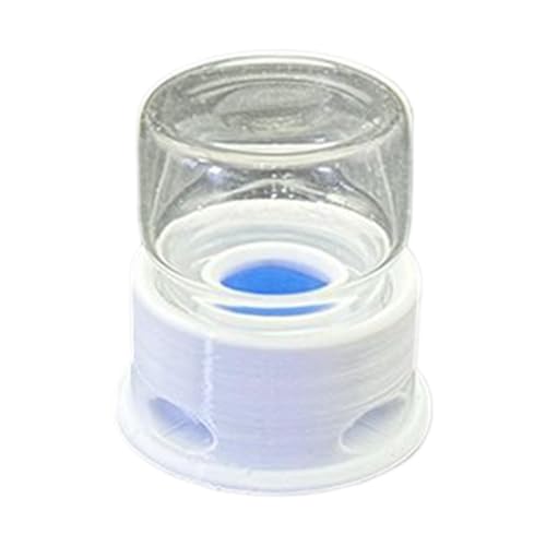 Mppchhn Ameisenfutterschüssel,Grillen-Wasserstation | Leckdichter Sichtbarer Tränkeautomat Für Farm Haus Garten Grillen Ameisen Mppchhn Ameisenfutterschüssel,Grillen-Wasserstation | Leckdichter Sichtbarer Tränkeautomat Für Farm Haus Garten Grillen Ameisen von Mppchhn