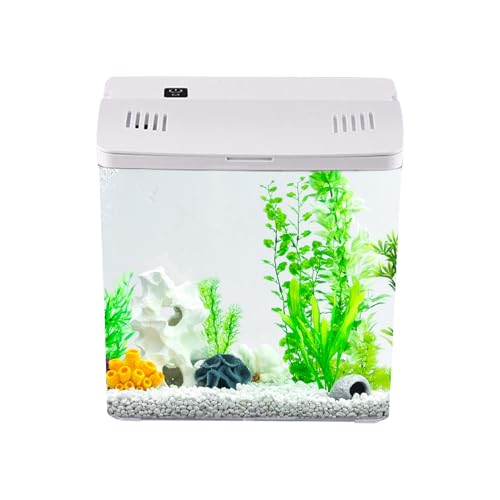 Mppchhn Desktop Aquarium | Kleines Becken Mit Filter | Wohndekoration | Für Riffaquarien Quallen Frösche Desktop Büro Schreibtisch Wohnzimmer Und Haustierheim Mppchhn Desktop Aquarium | Kleines Becken Mit Filter | Wohndekoration | Für Riffaquarien Quallen Frösche Desktop Büro Schreibtisch Wohnzimmer Und Haustierheim von Mppchhn