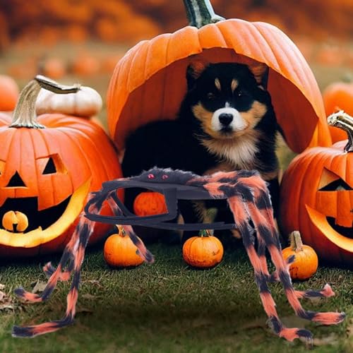 Mppchhn Hundekostüm Halloween, Kleinhunde Spinne Kostüm Halloween, Einstellbares Festkleidung Haustierzubehör für kleine und mittelgroße Katzen für Feiern, Feste, Paraden, Karneval und Geburtstage von Mppchhn