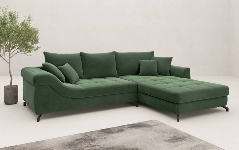 Mr. Couch Ecksofa Taylor, L-Form, wahlweise mit Kaltschaum, mit Kaltschaum bis 140 kg pro Sitzplatz belastbar von Mr. Couch