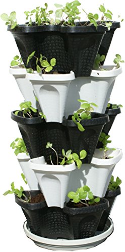 5-stöckiges schwarz-graues stapelbares Erdbeergarten – vertikales Garten-Pflanzgefäß-Set von Mr. Stacky