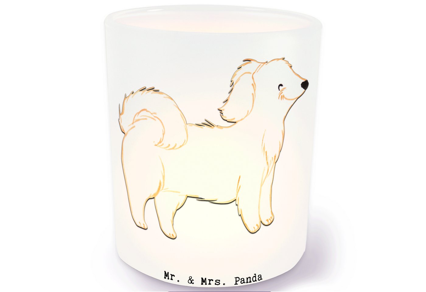 Mr. & Mrs. Panda Windlicht Havaneser Lebensretter - Transparent - Geschenk, Teelichter, Teelicht (1 St), Stimmungsvolle Beleuchtung von Mr. & Mrs. Panda