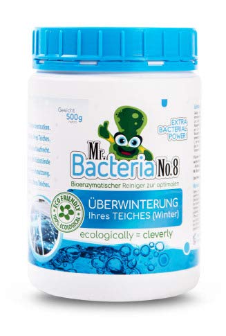 Mr.Bacteria No.8 Gartenteich Reiniger für optimale ÜBERWINTERUNG Ihres Teichklar, Teichpflege, Teichpflegemittel und Wasserklärer zu klar von grünem Wasser im Gartenteich (Winter) 500g - 1 Stück von Mr.Bacteria