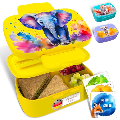Mr. Chilly® Brotdose Kinder mit Fächern - auslaufsichere und robuste Snackbox mit Besteck, Bentobox für Schule, Kita & unterwegs mit sicherem Verschluss, praktische Lunchbox mit Motivationskarten von Mr.Chilly