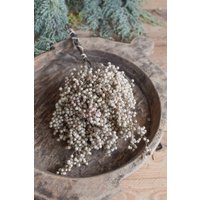 Pfefferbeeren Hell Pfefferbeeren Hell von MrsGreenery