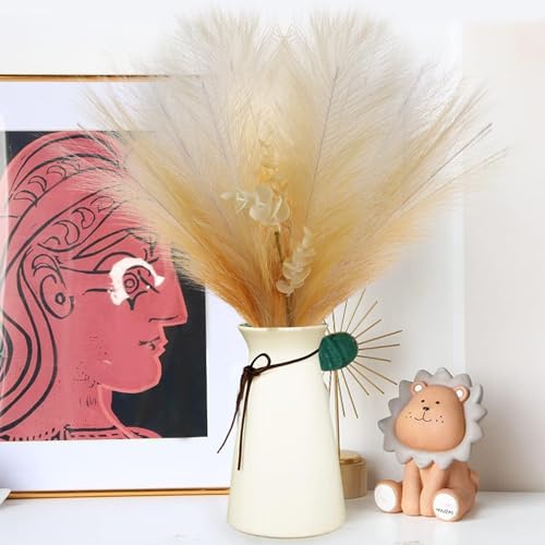 MsTeco Pampasgras, 5 Stück Pampasgras Künstlich Pampasgras Deko 5 Stiele Pampas Grass Pampasgras Getrocknet für Boho Wohnzimmer, Schlafzimmer, Vasen Deko(Orange) von MsTeco