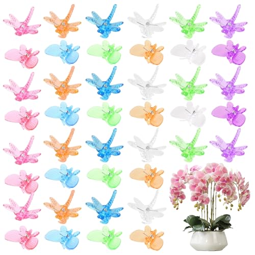 Mskmnkot 120pcs Orchideenklammern, farbenfrohe Schmetterlings- und Libellenpflanze, die für Tomatenblumengarten wiederverwendbar sind, Pflanzenklammern zum Klettern von Pflanzen von Mskmnkot