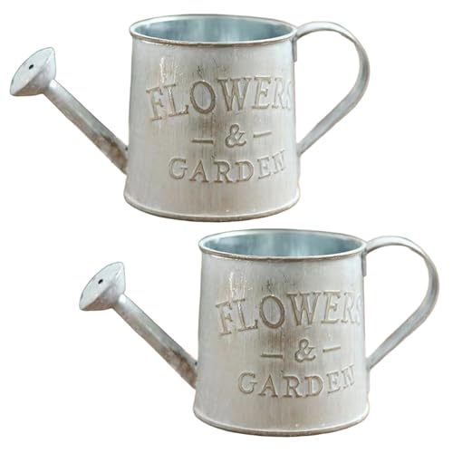 Mskmnkot 2pcs -Bewässerung Dose mit Griff 3.5x3.4 Vintage Iron Water Dose mit Spout -Deckelless. von Mskmnkot