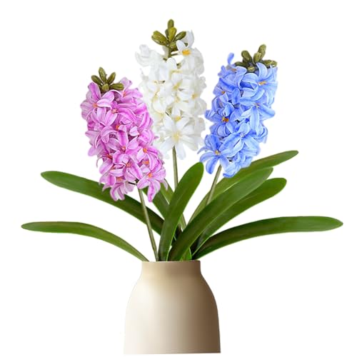 Mskmnkot 3 PCs künstliche Hyazinthe Blumen 16, 5x4 Simulation 3D Real Touch & schöne Hyazinthe Blumen für Home Party Decor Mskmnkot 3 PCs künstliche Hyazinthe Blumen 16, 5x4 Simulation 3D Real Touch & schöne Hyazinthe Blumen für Home Party Decor von Mskmnkot