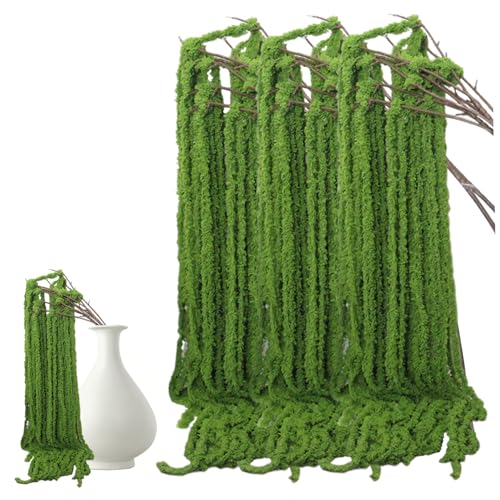 Mskmnkot Getrockneter Amaranthus, 5pcs künstliche Amaranthus -Blumen, 51 in lebensechter falsches grün getrocknetes Hängenblumen, Hochzeitsstrauß und Hausgartendekoration, hängen zur Dekoration Mskmnkot Getrockneter Amaranthus, 5pcs künstliche Amaranthus -Blumen, 51 in lebensechter falsches grün getrocknetes Hängenblumen, Hochzeitsstrauß und Hausgartendekoration, hängen zur Dekoration von Mskmnkot