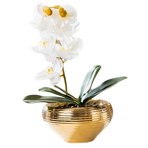 Mskmnkot Gold Blumentopf, 7, 9 in Keramik Gold Pflanzentopf runde Nicht rutschende Innenblume für Tisch-Hausbüro Bauernhaus Stil, Pflanzer für Innenpflanzen Mskmnkot Gold Blumentopf, 7, 9 in Keramik Gold Pflanzentopf runde Nicht rutschende Innenblume für Tisch-Hausbüro Bauernhaus Stil, Pflanzer für Innenpflanzen von Mskmnkot