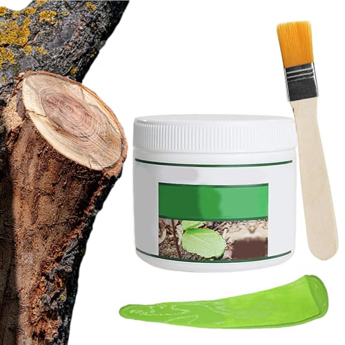 Mskmnkot Paning -Versiegelung, 500 g Baumwundschneidemalierer mit Pinselheilungspaste für Bonsai -Pfropfung schneller Genesung, Baumkonservierungsmittel Mskmnkot Paning -Versiegelung, 500 g Baumwundschneidemalierer mit Pinselheilungspaste für Bonsai -Pfropfung schneller Genesung, Baumkonservierungsmittel von Mskmnkot
