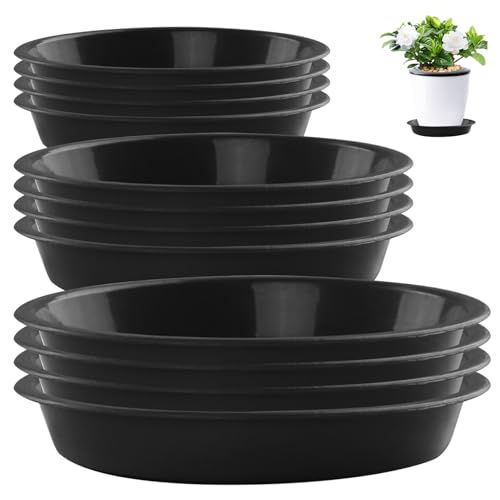 Mskmnkot Pflanzenschalen für Töpfe, 12 -pcs Plastik -Pflanzenuntertassen 6 8 10 in schweren Tropfschalen für Blumentöpfe im Innenbereich, Untertasse, Untertasse Mskmnkot Pflanzenschalen für Töpfe, 12 -pcs Plastik -Pflanzenuntertassen 6 8 10 in schweren Tropfschalen für Blumentöpfe im Innenbereich, Untertasse, Untertasse von Mskmnkot