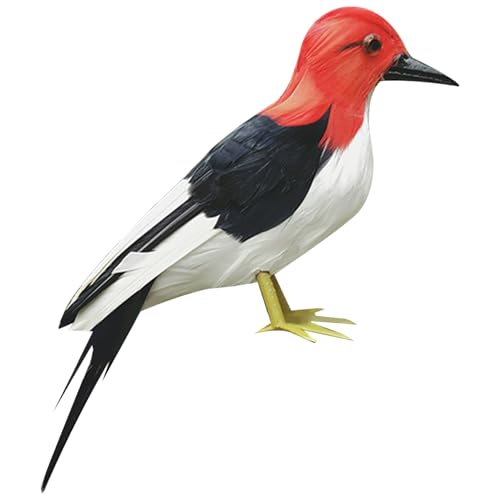 Mskmnkot Spechtschrecke, 14 in Spechtstatue, realistische Vogelskulptur mit Eisendraht, Rasen- und Gartenhof -Abschreckung, Lehre, Stil 1, Specht Mskmnkot Spechtschrecke, 14 in Spechtstatue, realistische Vogelskulptur mit Eisendraht, Rasen- und Gartenhof -Abschreckung, Lehre, Stil 1, Specht von Mskmnkot