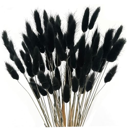 Pampas, 60pcs Faux Pampas Gras -Dekor, 17 Zoll Schwarze Boho -DIY -Blumen, Simulation Gras für Hochzeitshochzeiten, Handwerks- und Fotografie -Requisiten, Dekor Pampas, 60pcs Faux Pampas Gras -Dekor, 17 Zoll Schwarze Boho -DIY -Blumen, Simulation Gras für Hochzeitshochzeiten, Handwerks- und Fotografie -Requisiten, Dekor von Mskmnkot